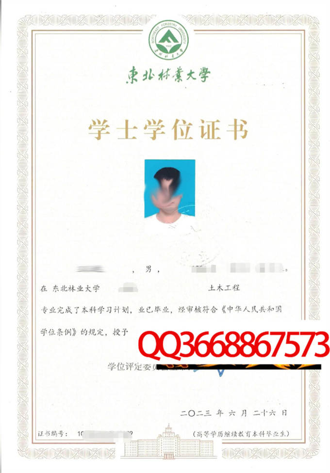 东北林业大学2023年学位证样本