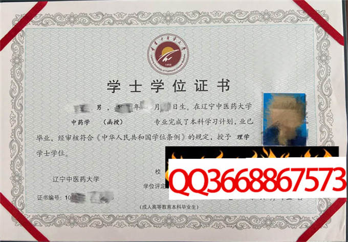 辽宁中医药大学2022年学位证样本