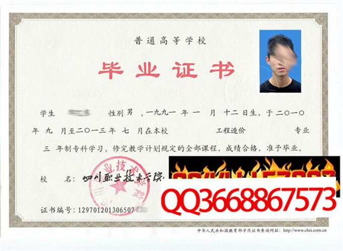 四川职业技术学院2013年毕业证样本