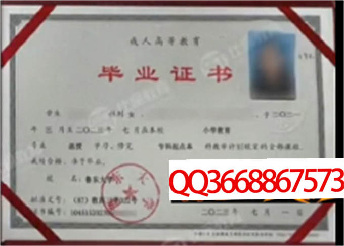 鲁东大学2023年毕业证样本