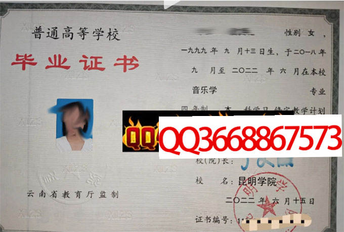 昆明大学2022年毕业证样本
